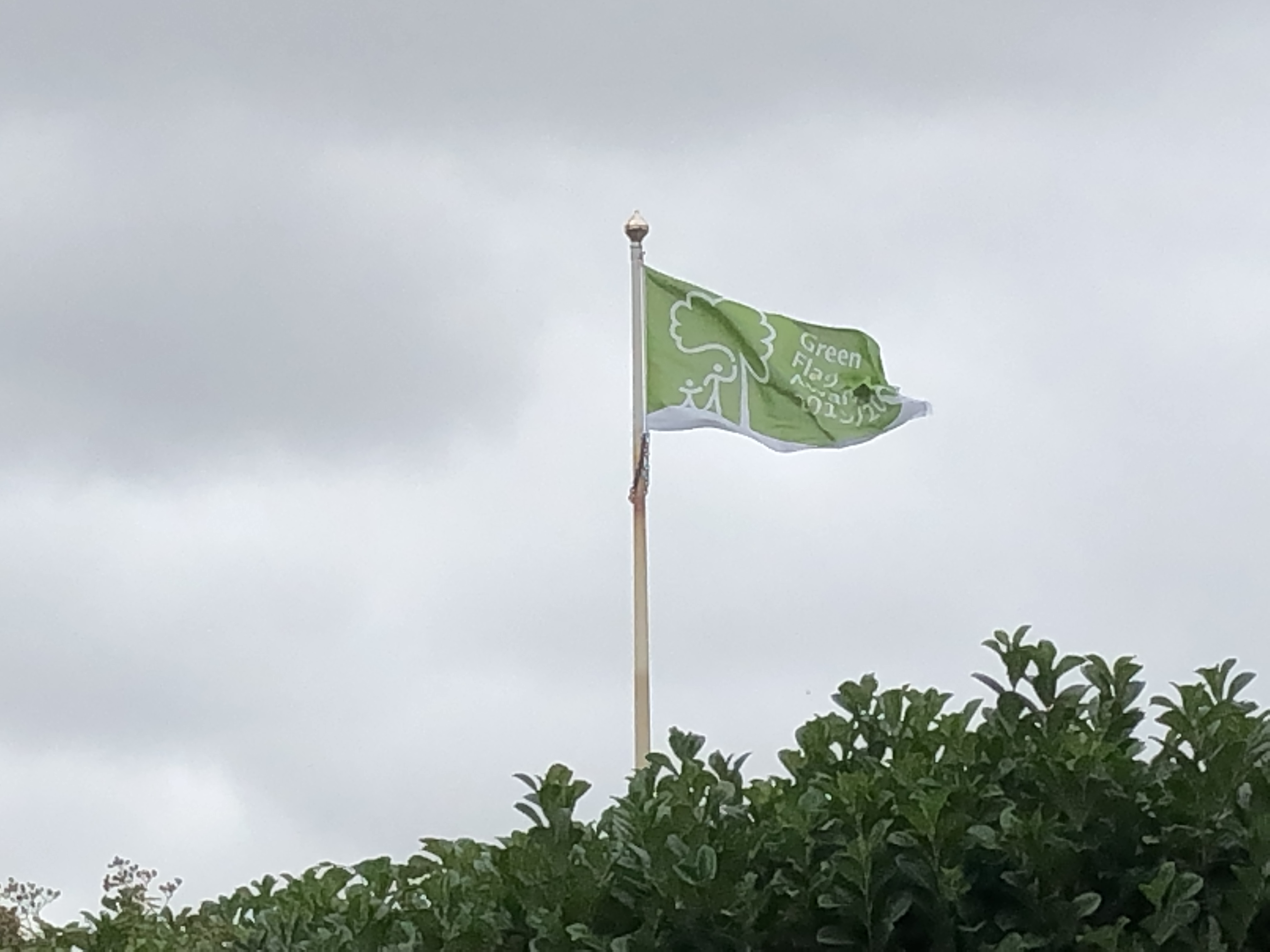 Green Flag The Lutonian